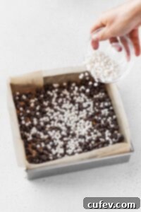 Adding a layer of vegan chocolate chips over the graham cracker layer.